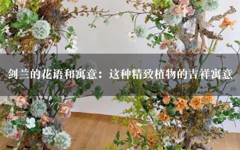 剑兰的花语和寓意：这种精致植物的吉祥寓意