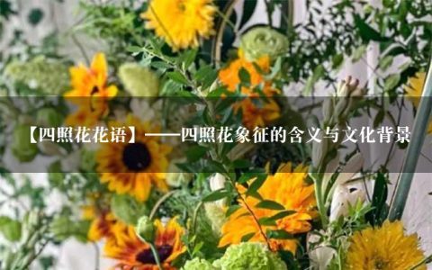 【四照花花语】——四照花象征的含义与文化背景