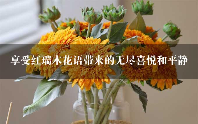 享受红瑞木花语带来的无尽喜悦和平静