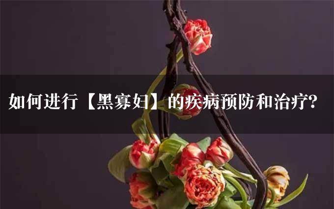 如何进行【黑寡妇】的疾病预防和治疗？