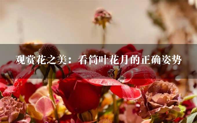 观赏花之美：看筒叶花月的正确姿势