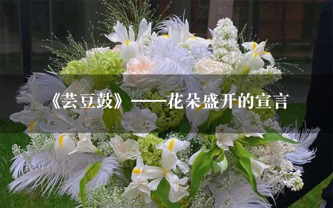 《芸豆鼓》——花朵盛开的宣言