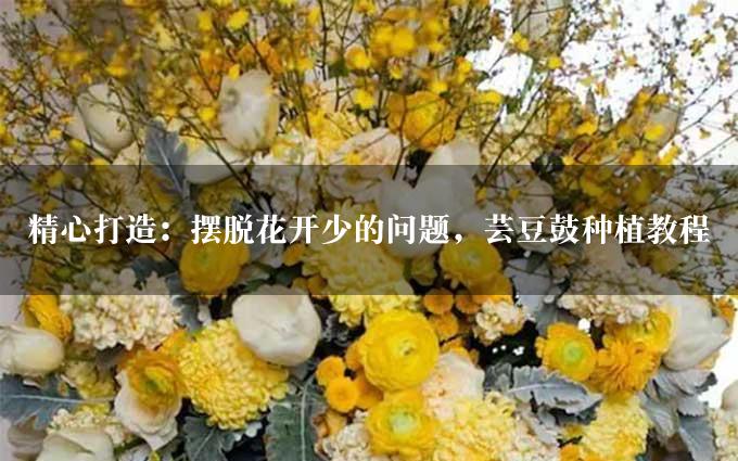 精心打造：摆脱花开少的问题，芸豆鼓种植教程