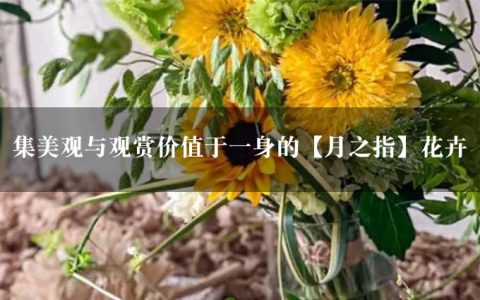 集美观与观赏价值于一身的【月之指】花卉