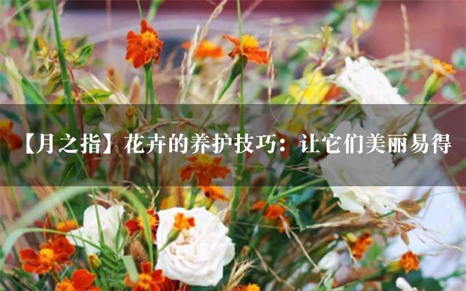 【月之指】花卉的养护技巧：让它们美丽易得