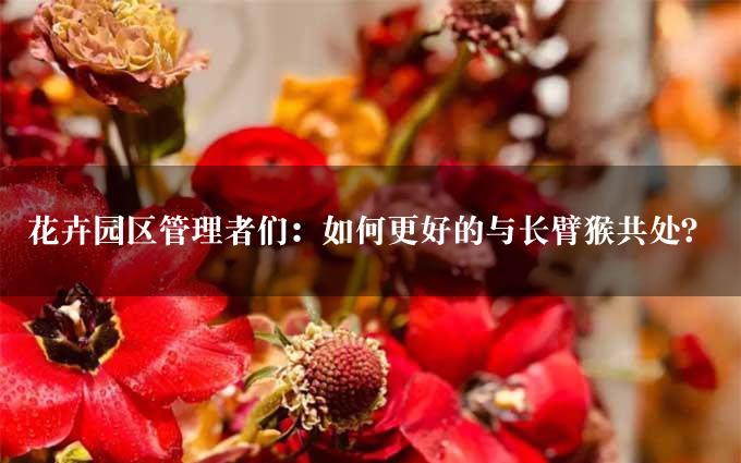 花卉园区管理者们：如何更好的与长臂猴共处？