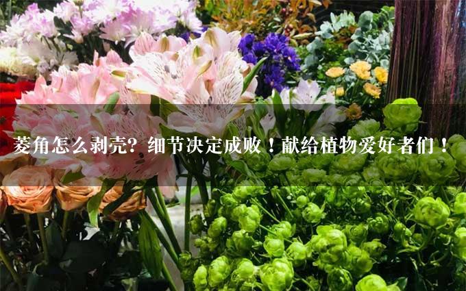 菱角怎么剥壳？细节决定成败！献给植物爱好者们！