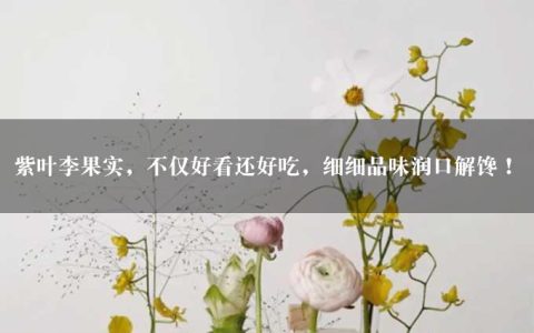 紫叶李果实，不仅好看还好吃，细细品味润口解馋！