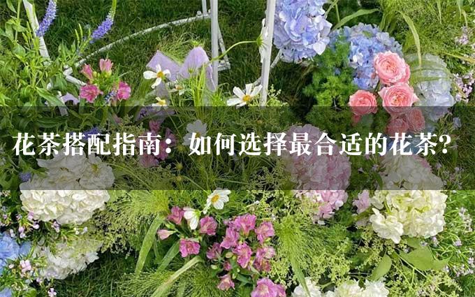 花茶搭配指南：如何选择最合适的花茶？