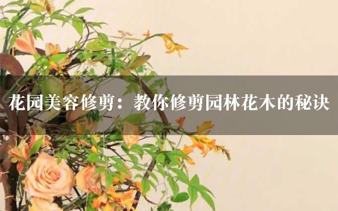 花园美容修剪：教你修剪园林花木的秘诀