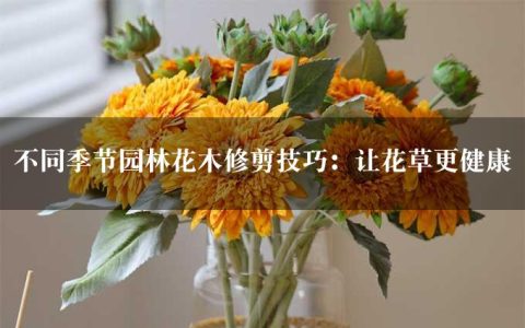 不同季节园林花木修剪技巧：让花草更健康