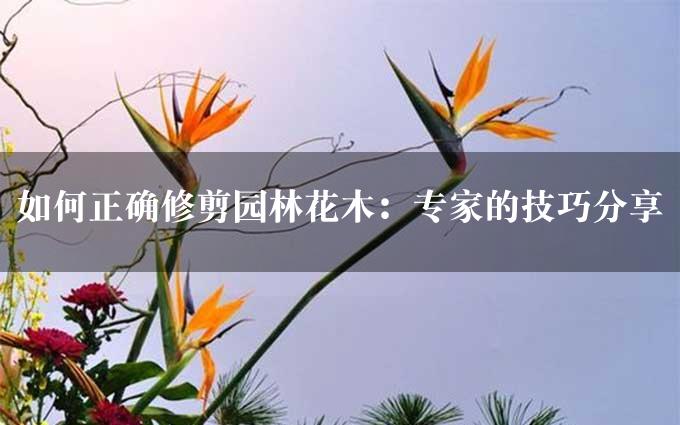 如何正确修剪园林花木：专家的技巧分享