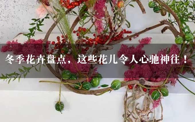 冬季花卉盘点，这些花儿令人心驰神往！