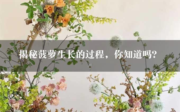 揭秘菠萝生长的过程，你知道吗？