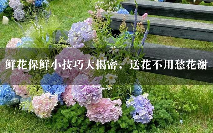 鲜花保鲜小技巧大揭密，送花不用愁花谢