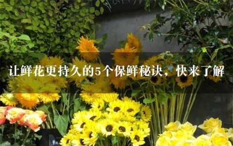 让鲜花更持久的5个保鲜秘诀，快来了解