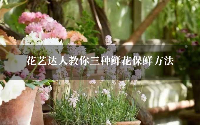 花艺达人教你三种鲜花保鲜方法