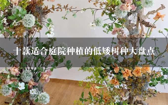 十款适合庭院种植的低矮树种大盘点