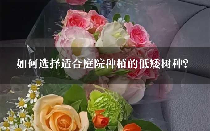 如何选择适合庭院种植的低矮树种？