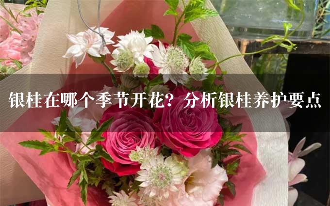 银桂在哪个季节开花？分析银桂养护要点