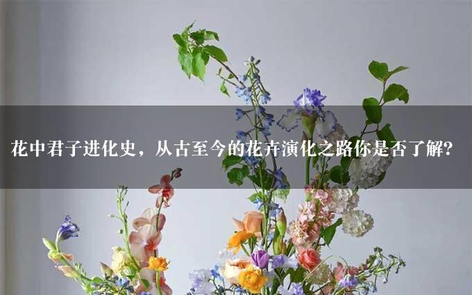 花中君子进化史，从古至今的花卉演化之路你是否了解？