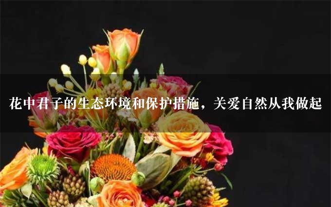 花中君子的生态环境和保护措施，关爱自然从我做起