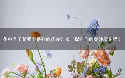 花中君子是哪个系列的花卉？来一探它们的奥妙所在吧！