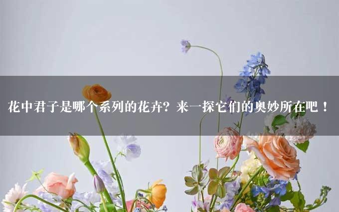 花中君子是哪个系列的花卉？来一探它们的奥妙所在吧！