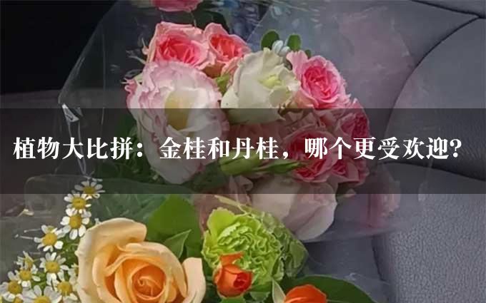 植物大比拼：金桂和丹桂，哪个更受欢迎？