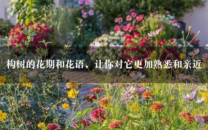 构树的花期和花语，让你对它更加熟悉和亲近