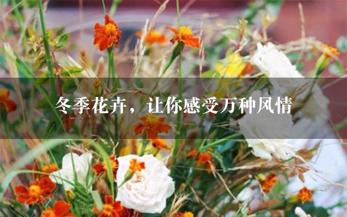 冬季花卉，让你感受万种风情