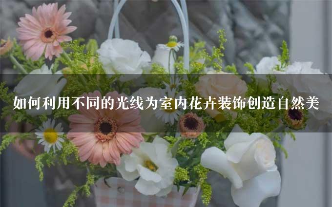 如何利用不同的光线为室内花卉装饰创造自然美