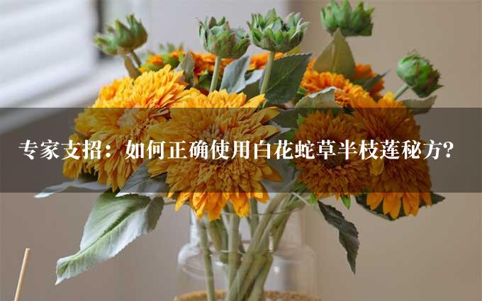 专家支招：如何正确使用白花蛇草半枝莲秘方？