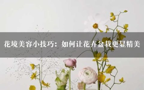 花境美容小技巧：如何让花卉盆栽更显精美