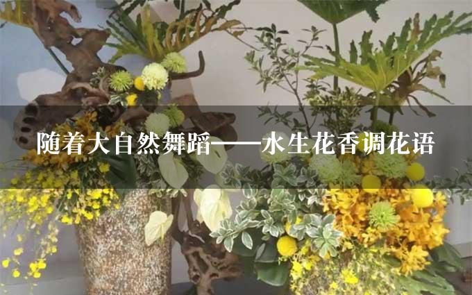 随着大自然舞蹈——水生花香调花语