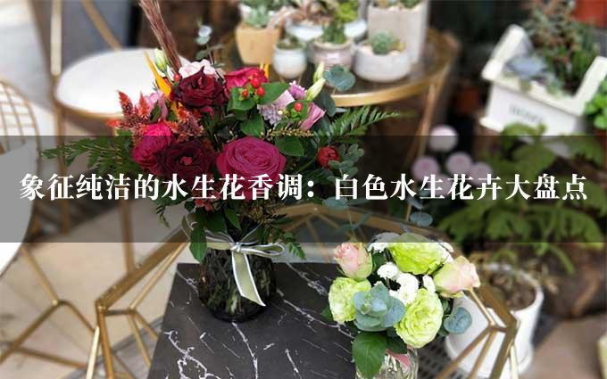 象征纯洁的水生花香调：白色水生花卉大盘点