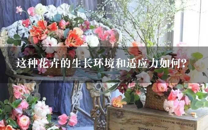 这种花卉的生长环境和适应力如何？