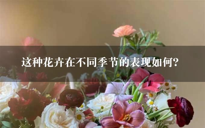 这种花卉在不同季节的表现如何？