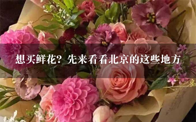 想买鲜花？先来看看北京的这些地方