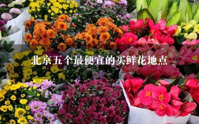 北京五个最便宜的买鲜花地点