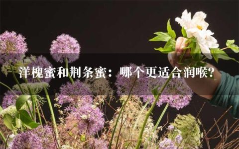 洋槐蜜和荆条蜜：哪个更适合润喉？