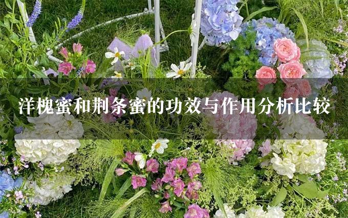 洋槐蜜和荆条蜜的功效与作用分析比较