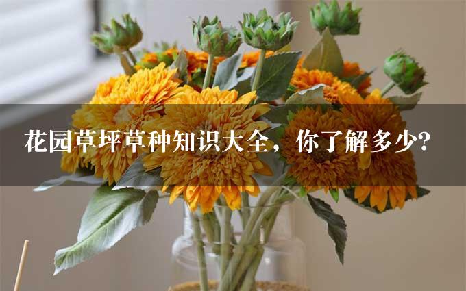 花园草坪草种知识大全，你了解多少？