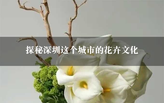 探秘深圳这个城市的花卉文化