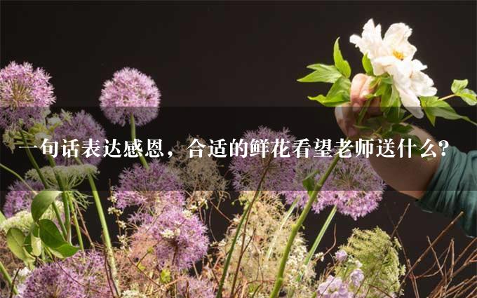 一句话表达感恩，合适的鲜花看望老师送什么？