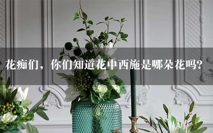 花痴们，你们知道花中西施是哪朵花吗？