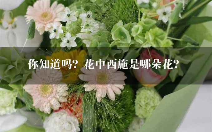 你知道吗？花中西施是哪朵花？