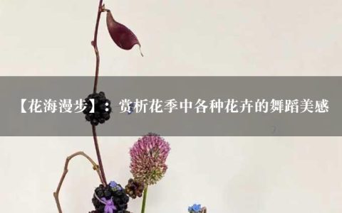 【花海漫步】：赏析花季中各种花卉的舞蹈美感