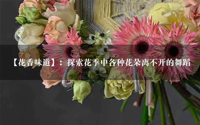 【花香味道】：探索花季中各种花朵离不开的舞蹈