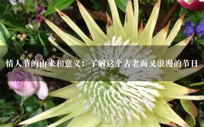 情人节的由来和意义：了解这个古老而又浪漫的节日